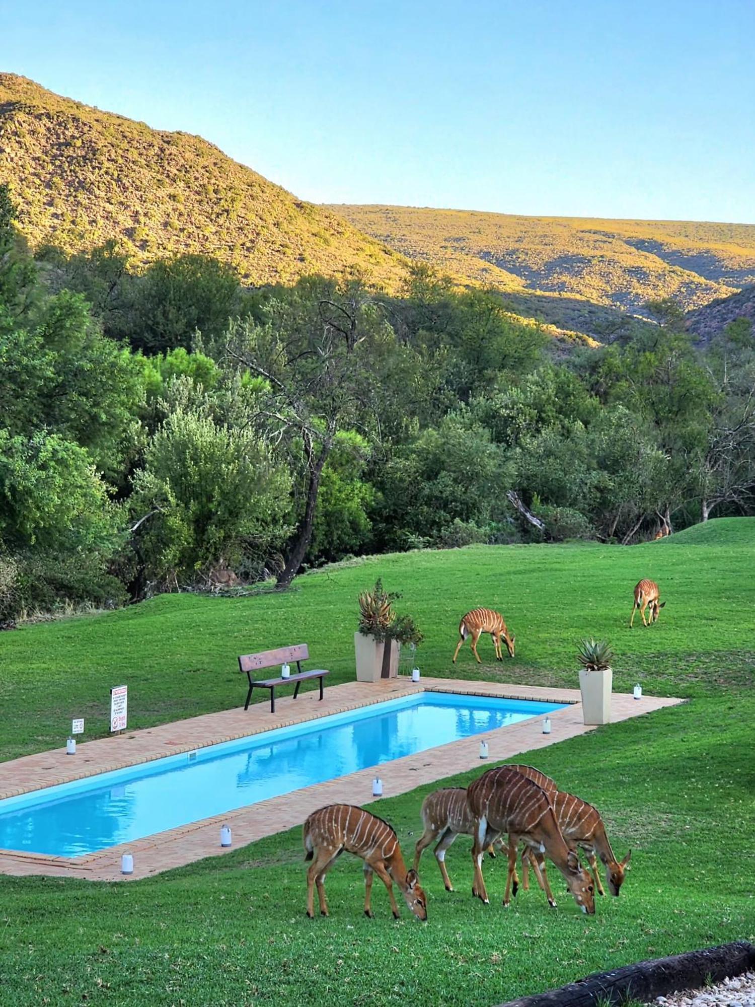 Wildehondekloof Game Lodge Matjiesrivier  Exterior photo